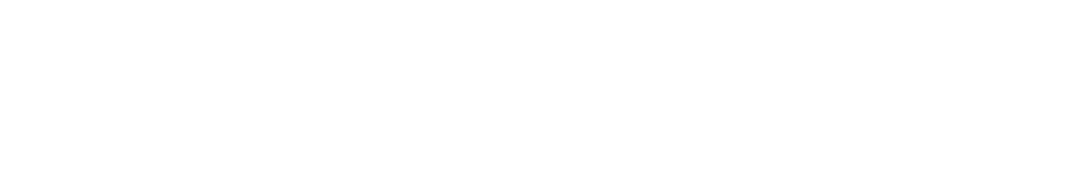 王兴丰 WANGSHI 铁板现炒